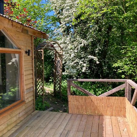 Honey Bee Cabin Llandysul Esterno foto