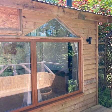 Honey Bee Cabin Llandysul Esterno foto