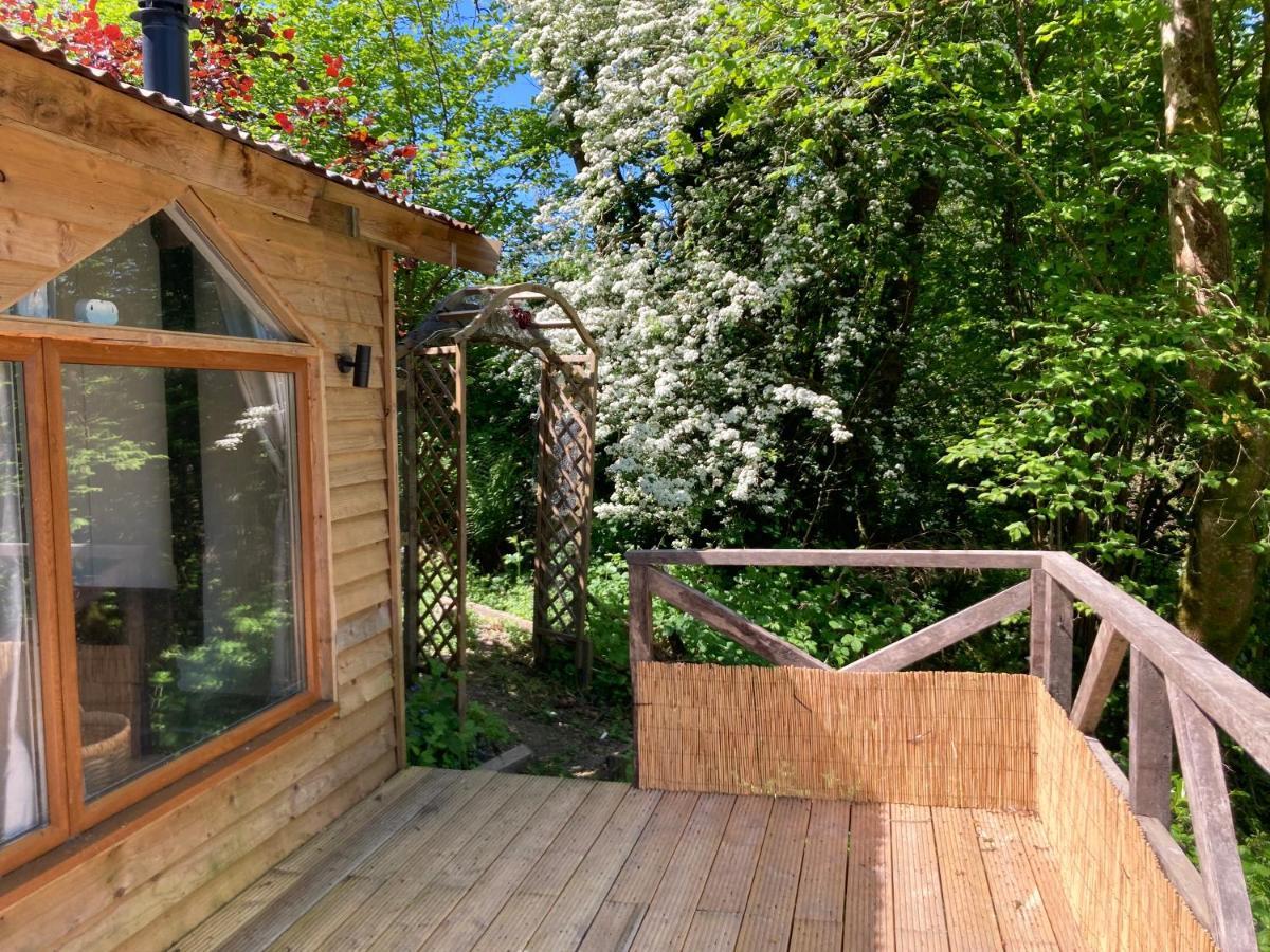 Honey Bee Cabin Llandysul Esterno foto