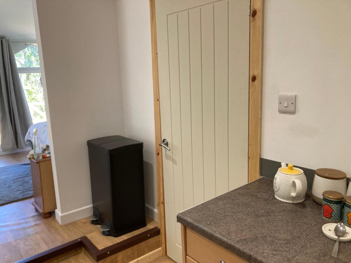 Honey Bee Cabin Llandysul Esterno foto