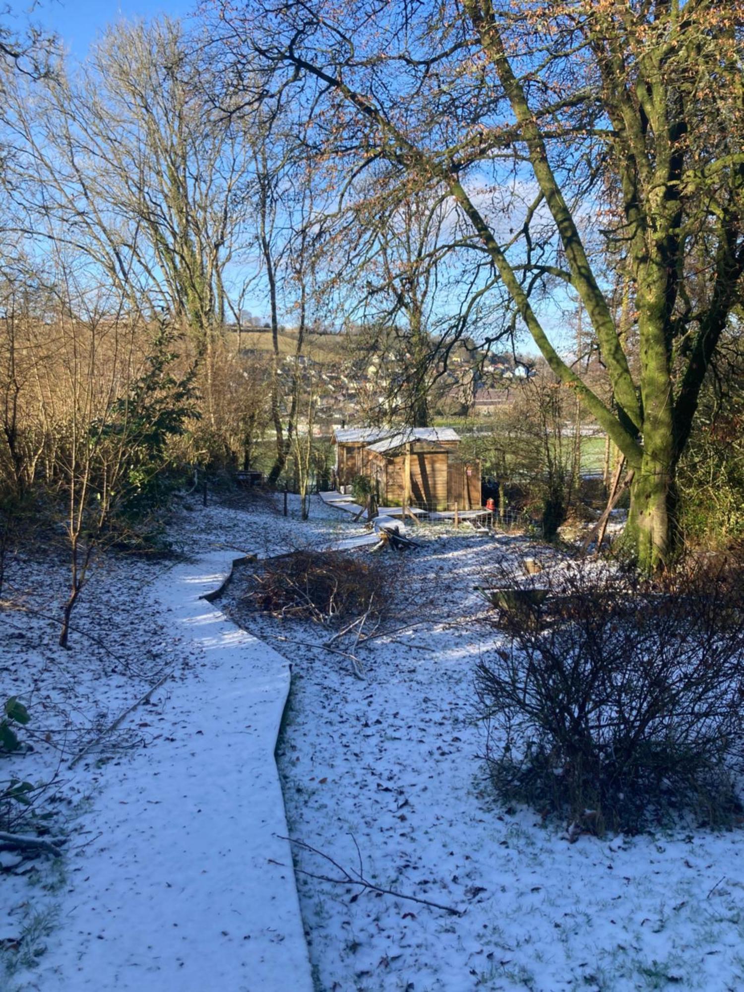 Honey Bee Cabin Llandysul Esterno foto